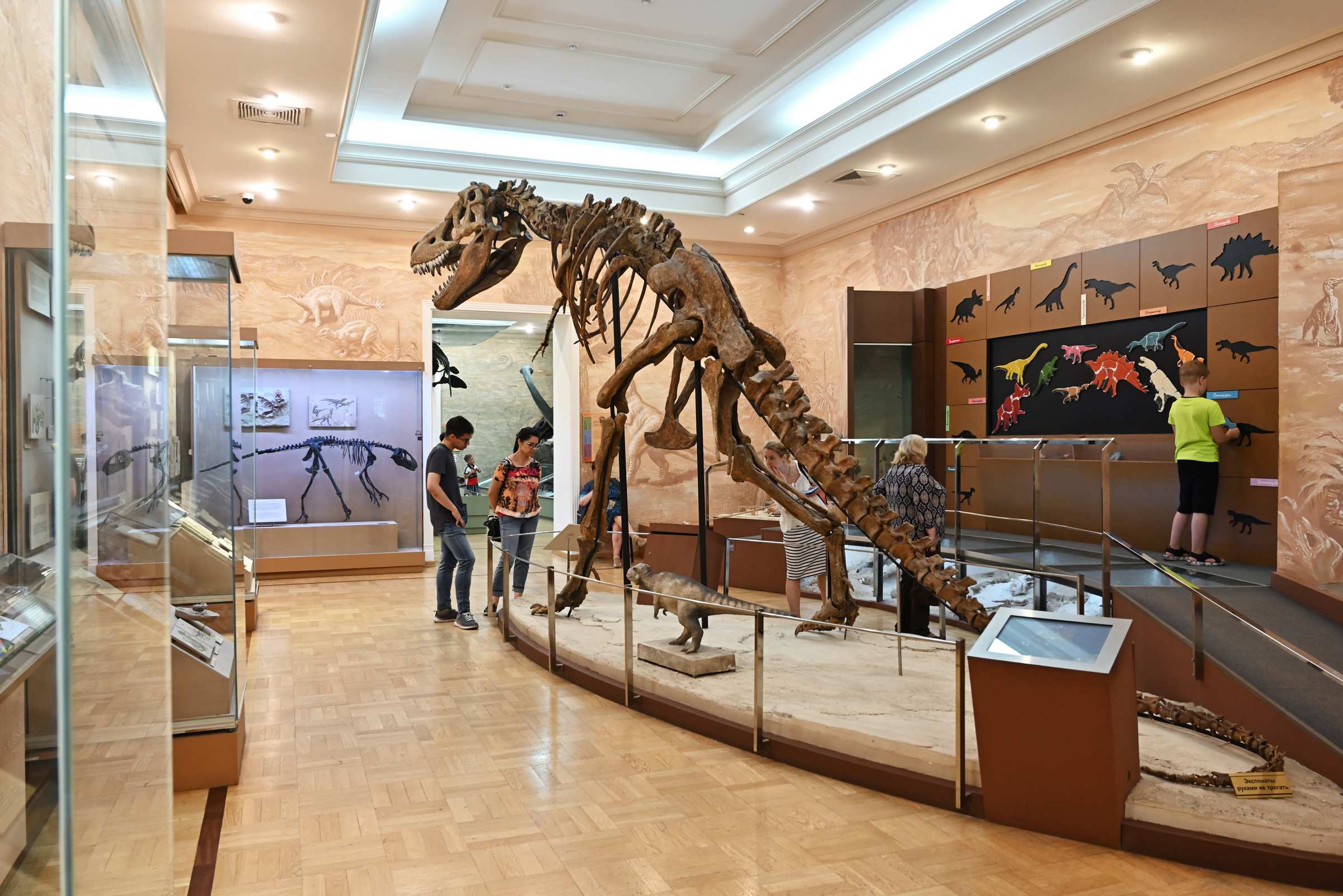 Копия скелета тарбозавра в музее естественной истории Татарстана в Казани.